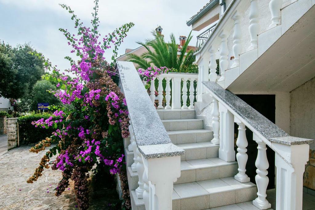 Apartment Nada ペトルチャネ エクステリア 写真
